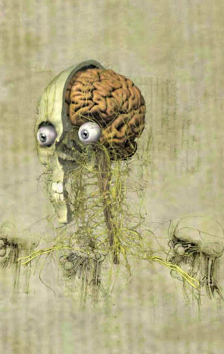 Hjernehinder. Billedaftryk fra bogens forside. 