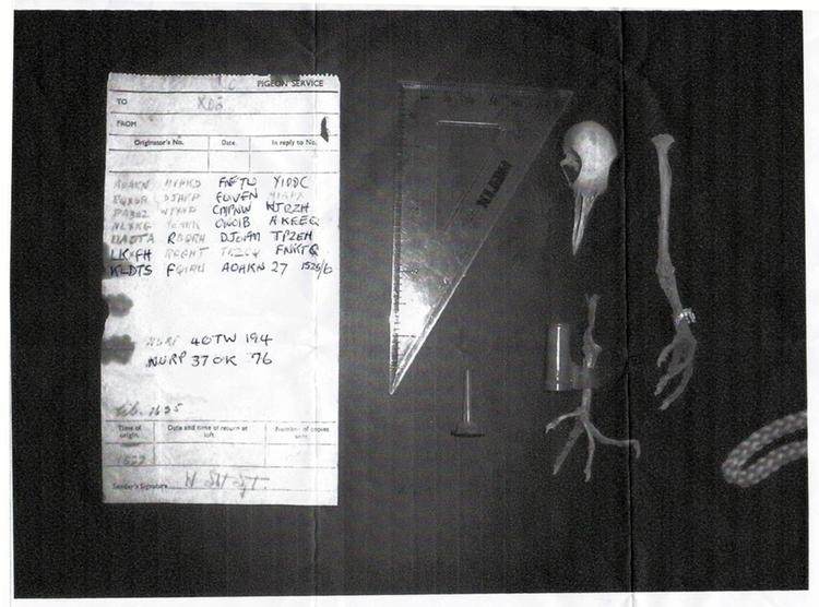 KODE. Den krypterede meddelelse, en husejer fandt siddende fast på skelettet af en brevdue fra Anden Verdenskrig. 