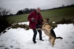 VENNER. Hunden er i den grad flere danskeres bedste ven. 