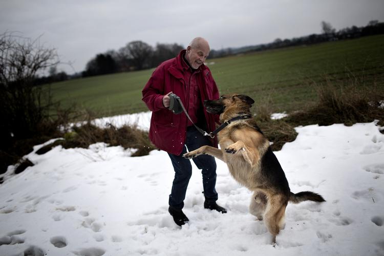 VENNER. Hunden er i den grad flere danskeres bedste ven. 