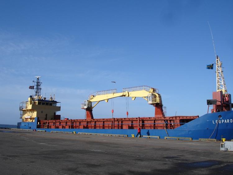 Leopard. Skibet med de danske søfolk blev kapret for næsten to år siden. 