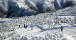 Skiferie. Mount Hotham i Australien ligger 369 kilometer fra Melbourne i Victorian Alps i 1.861 meters højde. 