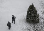 Snestorm. Folk går forbi juletræ i byen Newark i New Jersey. 