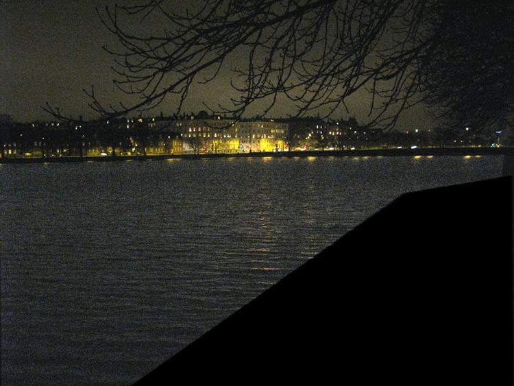 Gerningssted. En svane fik drejet halsen om i Sortedamssøen. Den skyldige er sigtet. 