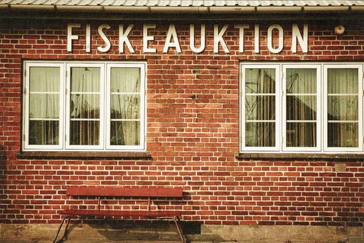 Havnen. Stine Bosse, erhvervsleder, vælger Gilleleje Havn som sit yndlingssted i Danmark. 