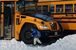 Begyndelse. En amerikansk purk er på vej op i skolebussen for at komme til sin nye skole i nabobyen Monroe. 