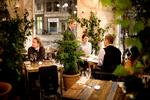 Nordisk. Höst imponerer med sit nordiske køkken til forbilledlige priser. 