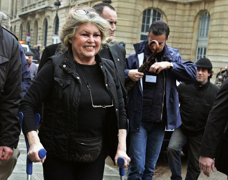 Dyrebeskytter. Brigitte Bardot trak sig tilbage fra den glamorøse verden i begyndelsen af 1970'erne og har siden kæmpet for bedre beskyttelse af dyr. Hun har blandt andet tordnet mod handel med sælskind. Her ses på gaden i Paris i 2007 i forbindelse med en demonstration. 