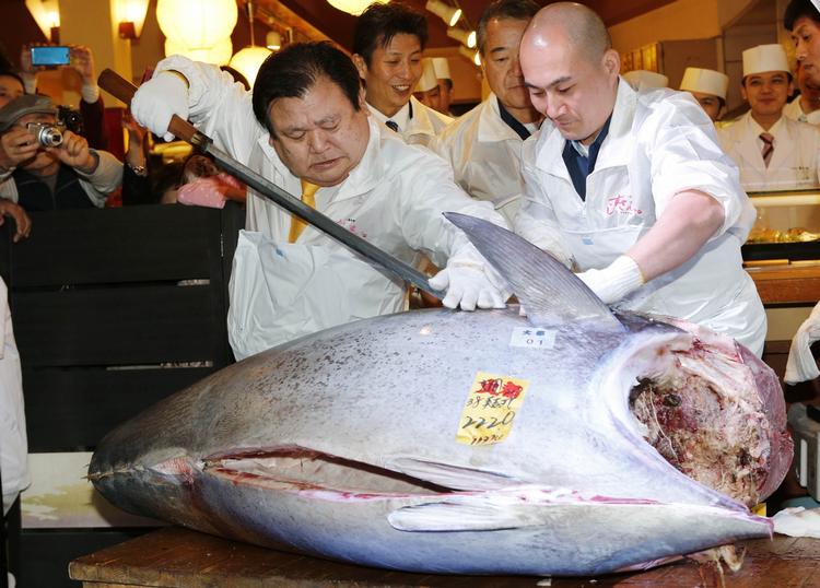 Kostbar. Kiyoshi Kimura vandt buddet om en kæmpetun på 222 kilo. Han skærer den her på sin sushirestaurant i Tokyo. 