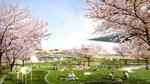 Operapark. Tegnestuerne Tredje Natur og PK3 foreslår Operaens triste græsplane omdannet til en kirsebærlund, hvor man kan holde picnic og høre opera i det fri. 