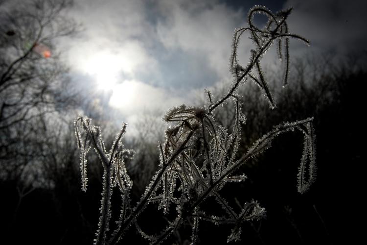 Frostvejr. DMI lover temperaturer ned til minus otte grader i weekenden og klart vejr med enkelte snebyger. 