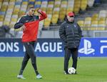 KLUBSKIFTE. Efter mere end fire år i Paris SG med 38 mål i 111 ligakampe tager Guillaume Hoarau afsked med træner Carlo Ancelotti. 