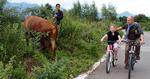 Gammeldags. Lej en cykel, vend ryggen til byen og oplev kinesisk landbrugsliv. 