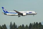 DREAMLINER. En 787 fra All Nippon Airways fotograferet under landing i Seattles lufthavn. 