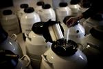 kursændring. Sædbanken Cryos lukkede for forsyningerne til det danske marked, da man mente, det var umuligt at overholde og kontrollere kravet om de færre børn pr. donor. Nu ser man lidt anderledes på sagen. 