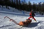 Skiskade