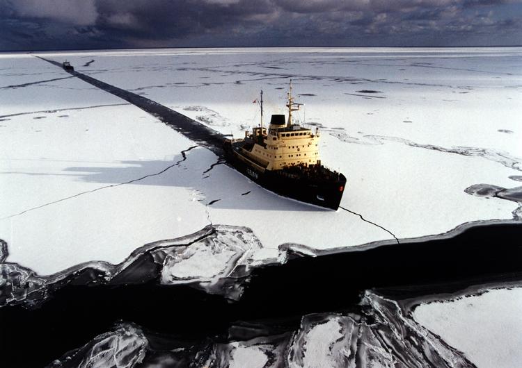 Kraft. Isbjørn bryder vandvejen op under isvinteren 1996. 