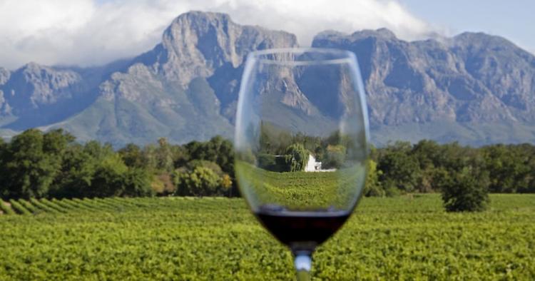 Tag eksempelvis til Sydafrika og smag på landets bedste vine. 
