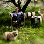 Konsekvent. Gennemgangen af Jon Bang Carlsens film giver appetit på et gensyn og skærper forventningerne til hans nye film. 