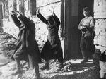 Militærslag. To tyske soldater har overgivet sig til en russer under slaget for 70 år siden. 