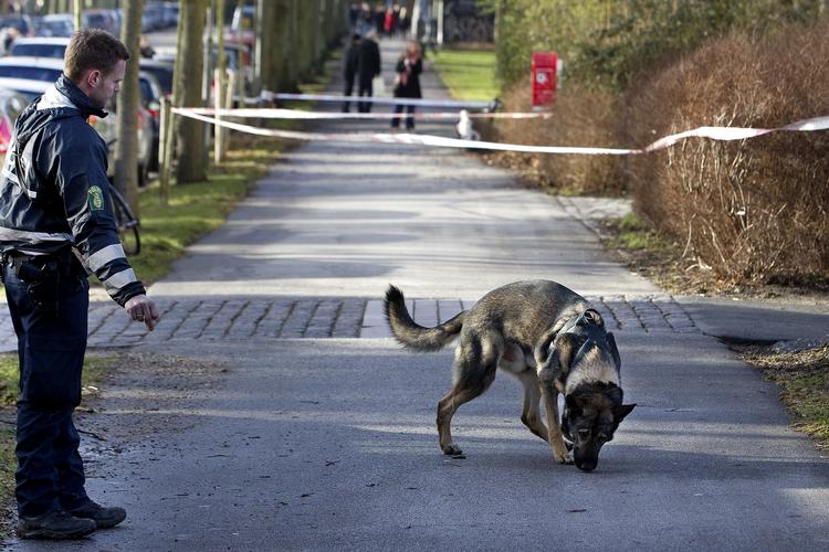 HITTEBARN. En af politiets hunde leder efter spor på det sted, hvor en nyfødt pige blev efterladt i en sportstaske. 