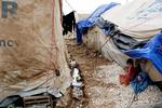 Kæmpelejr. I Jordan er lejren Zaatari i nord, tæt på grænsen til Syrien, fordoblet i størrelse siden december. 