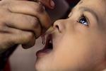 SYGDOMSBESKYTTELSE. Indisk barn får vaccination mod børnelammelse (polio). Inderne har fået udryddet sygdommen, mens forsøgene på at få bugt med lidelsen i Pakistan og nu også i Nigeria plages af drab på sundhedsarbejdere. 