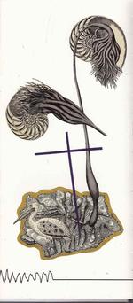 Vækst. Billedbøger for læsere alle aldre er genre i vækst. Illustration: Pia Blak 