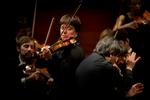 violin_09-02-2013_ONFVLN2.jpg