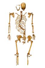 Berømt. Billedet af skelettet, der dukkede op i Leicester, går for tiden verden rundt. 