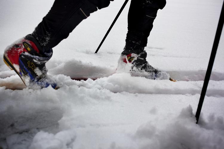 motion. København er ingen klassisk vintersportsby, men ifølge vejrudsigten kan man i hvert fald ugen ud motionere på langrendsløjpen på Bellahøj Mark. 