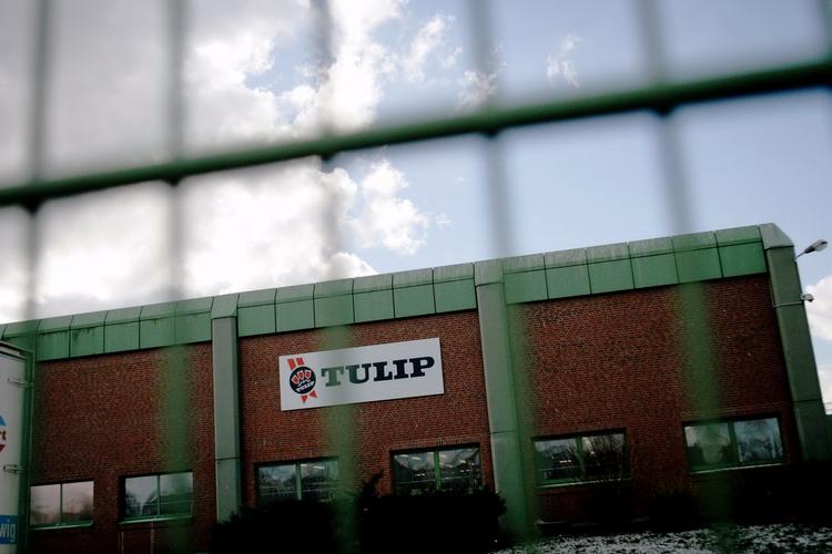 Kødfusk. Danske Tulip kalder produkter hjem fra Tyskland pga mistanke om at de indeholder hestekød og ikke oksekød. 