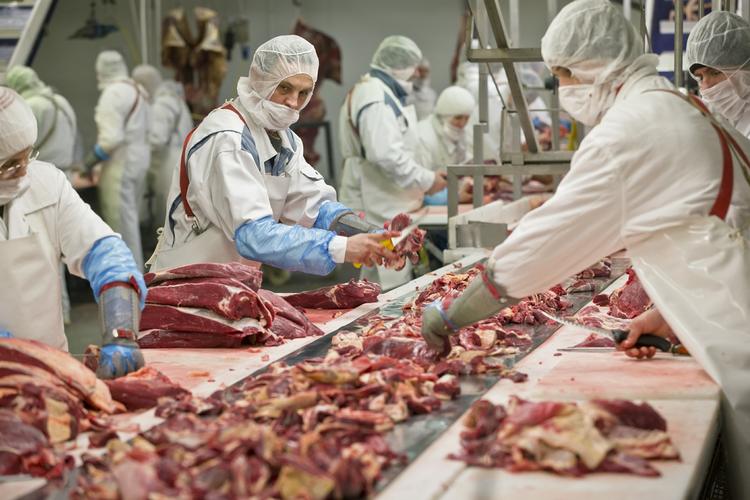 Kød. Hestekødet er sporet til to rumænske slagterier, men ifølge de franske myndigheder har de solgt kødet som hestekød. Det er derimod et fransk firma, der menes at have solgt det videre som oksekød for at få en større profit. 