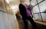 Gravid