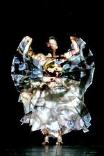 norden i washington. Kulturfestivalen præsenterer en lang række kunstnere fra de nordiske lande. Her er det det finske Terro Saarinen Company. 