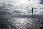 HAVVINDMØLLER. Dong vil bruge pengene fra et salg af en vindmøllepark i Polen på at investere i havvindmøller som denne ved Anholt. 