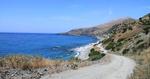 På safarituren på Kreta får du oplevet smukke naturoplevelser og forskellige dyr på vejen. 