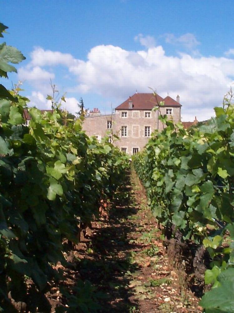 Vinslot. På bourgognedagen kan du måde vinmageren fra dette slot, Domaine des Varoilles. 