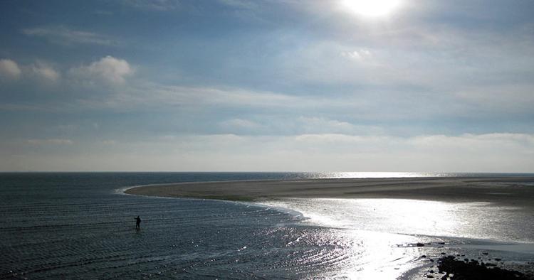 Skattejagt. Sydenden af Amrum er en enorm sandbanke, hvor folk ved lavvande samler rav og skaldyr. 