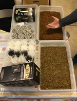 36e8ec_joint-produktion