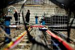 Bakterier_28-02-2013_7EG3B1S.jpg