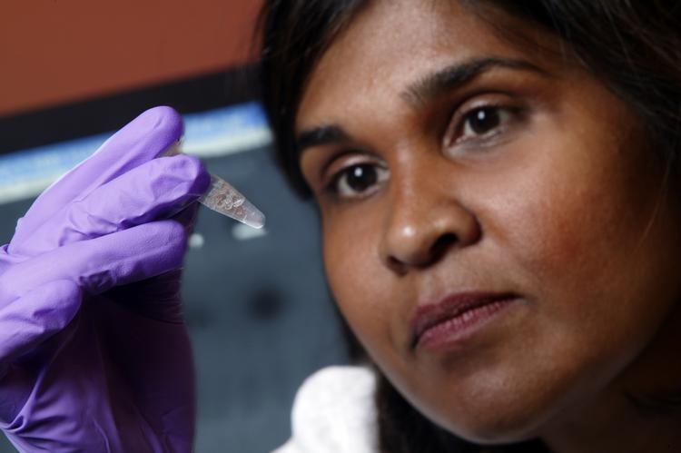 Forsker. Deborah Persaud håber at kunne finde en kur mod hiv for børn. 