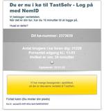 Nedtælling. På skats hjemmeside tæller en køfunktion automatisk ned, så du kan se hvor langt tid, det vil tage, før du kan få adgang til dine skattepapirer. 