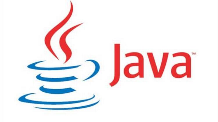 opdater Java, lyder rådet fra Nets, der står bag Netbankernes og det offentliges NemID-login. 