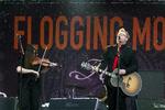 Folk-helte. Mon ikke Flogging Molly kan skabe en gedigen fest i Tønder? 