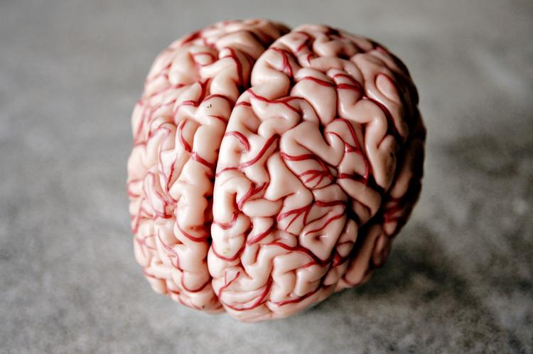 Neuropsykologi. Der fokuseres udelukkende på hjernen. Krop og kultur glemmes desværre. 