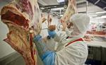 Problematisk. Det er en langt større skandale end hestekød i lasagne, at det offentlige i Danmark ikke kan holde styr på sine byggesager og bidrager til underbetaling og snyd, skriver Daniel Skovhus. 