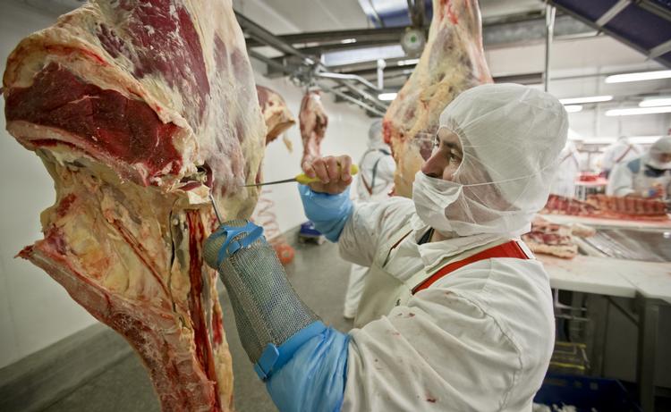 Problematisk. Det er en langt større skandale end hestekød i lasagne, at det offentlige i Danmark ikke kan holde styr på sine byggesager og bidrager til underbetaling og snyd, skriver Daniel Skovhus. 