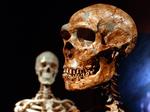 NEANDERTHALER. En dna-undersøgelse af en amerikansk mand har vist, at han bar på et y-kromosom, der var ældre end det moderne menneske homo sapiens og må være opstået hos en af de tidligere menneskearter. 