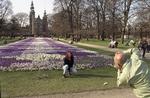 'Blomster' er et udstillingsprojekt mellem seks museumsinstitutioner i det indre København, de såkaldte parkmuseer. 